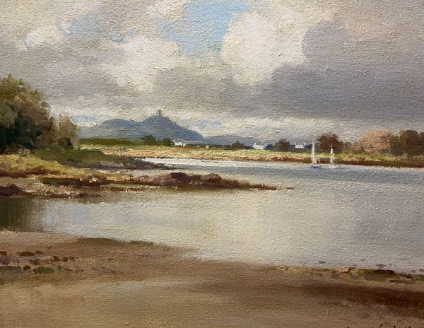 The Dorn Strangford Lough